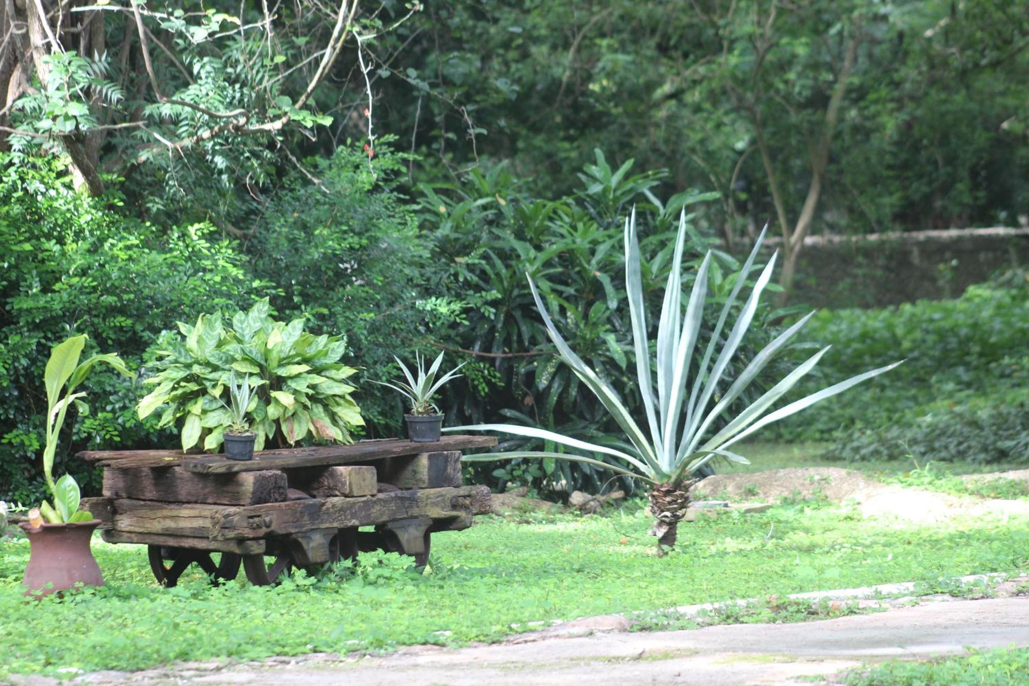 Hacienda San Jose Cholul Hotell Tixkokob Exteriör bild